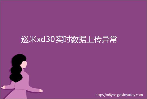 巡米xd30实时数据上传异常