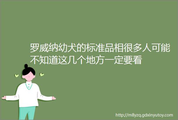 罗威纳幼犬的标准品相很多人可能不知道这几个地方一定要看